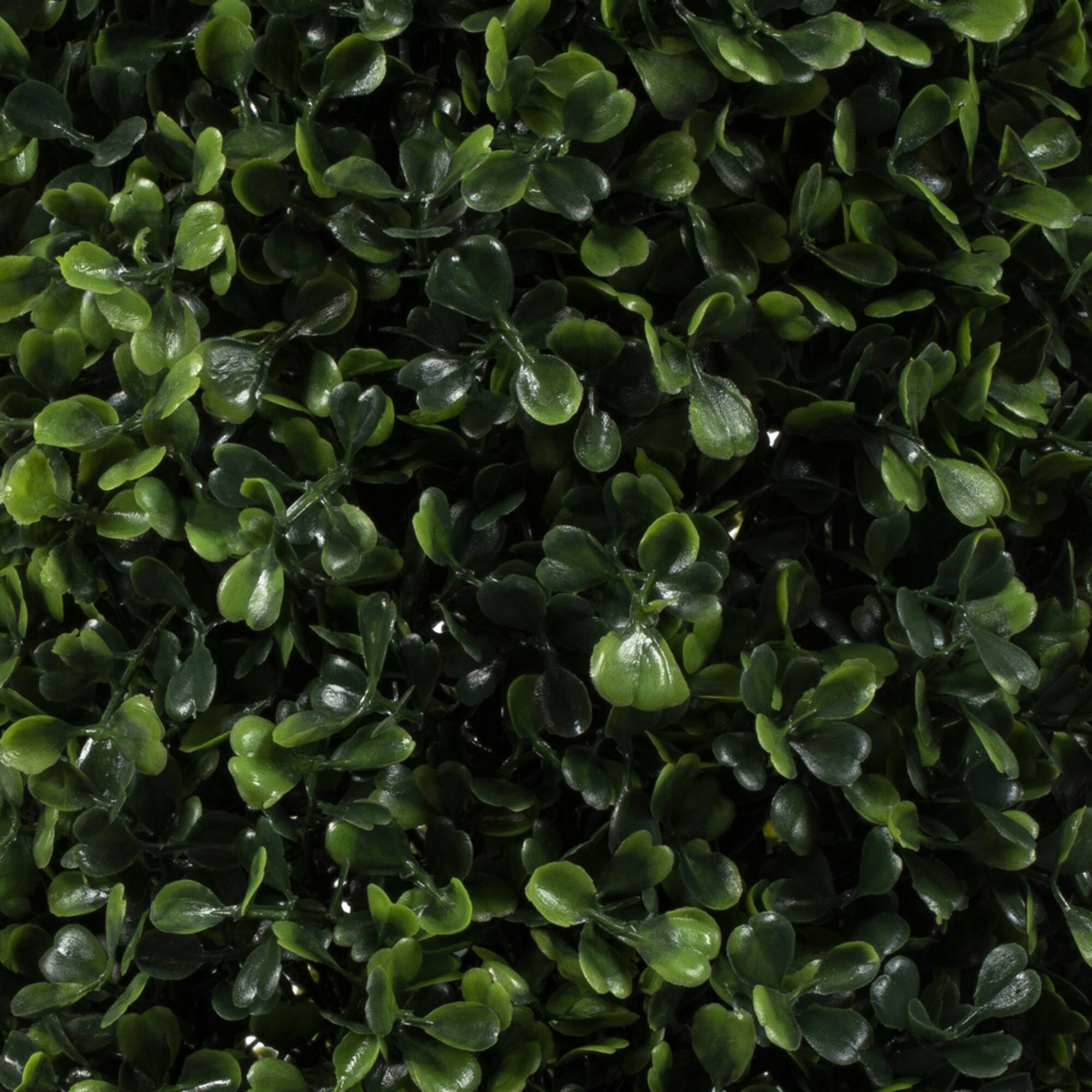 6ft. Potted Boxwood Cone Tree